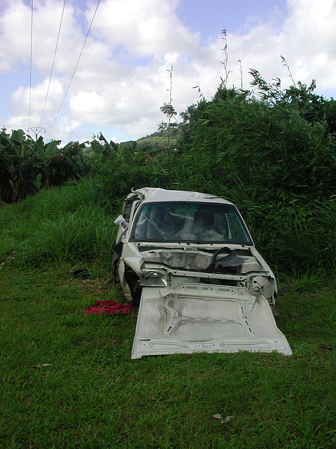 martinique (137)