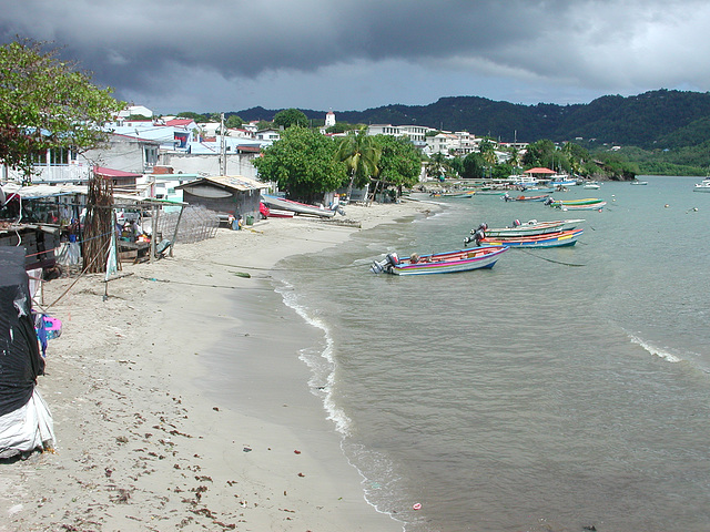 martinique (234)