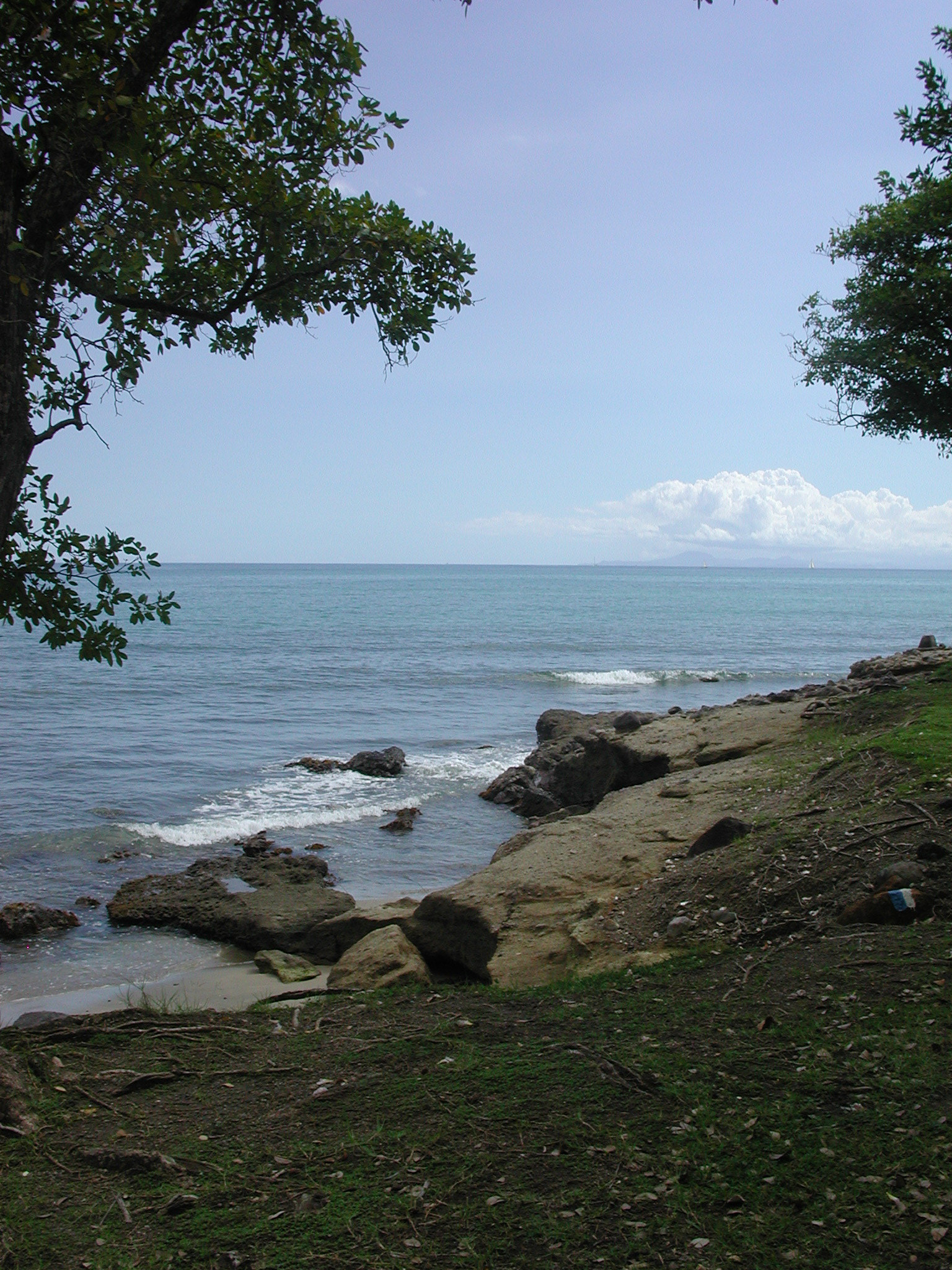 martinique (239)