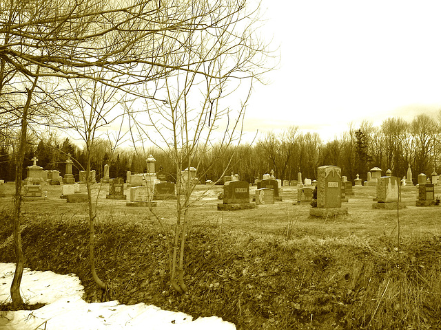 Immaculate heart of Mary cemetery - Churubusco. NY. USA.  March  29th 2009 - Sepia