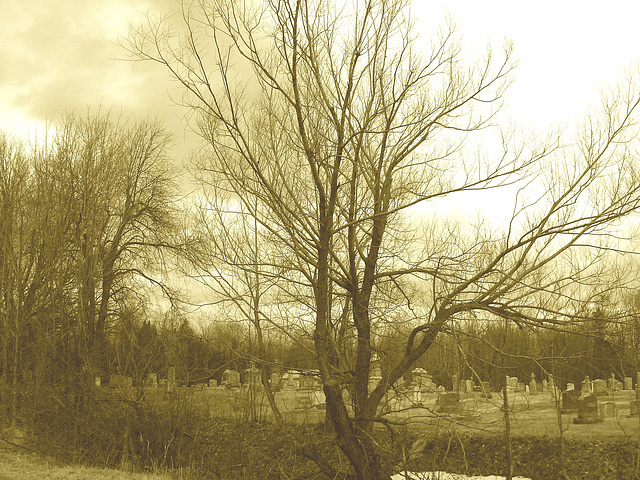 Immaculate heart of Mary cemetery - Churubusco. NY. USA.  March  29th 2009- Sepia