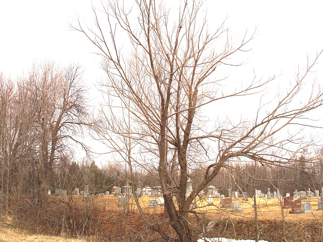 Immaculate heart of Mary cemetery - Churubusco. NY. USA.  March  29th 2009