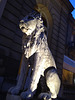 IMG 0562