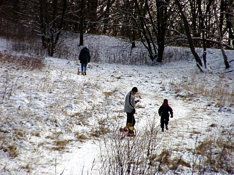 Watching the toboggan