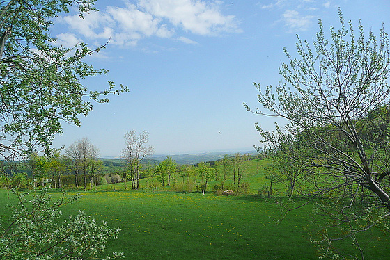 Sehnsucht nach Licht - Weite - Frühling - sopiro al lumo - malproksimo - printempo