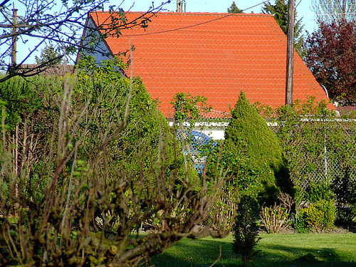 Red roof with green gras and blue sky