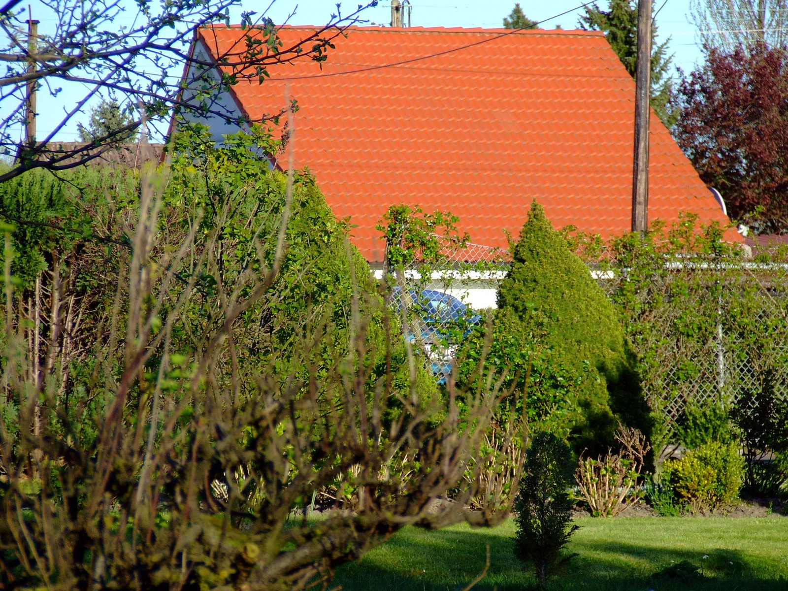 Red roof with green gras and blue sky