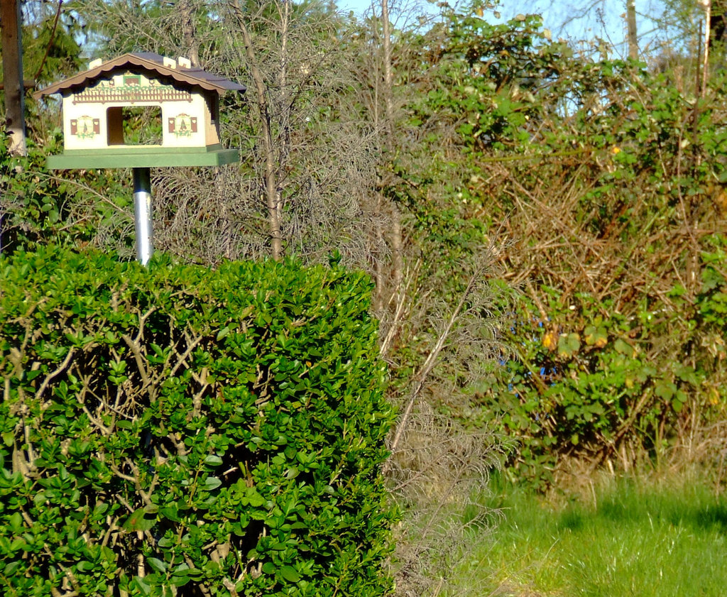 Birdhouse