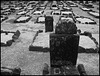 Cimetière des surveillants, Bagne de l'île Saint-Joseph, Guyane, 2009