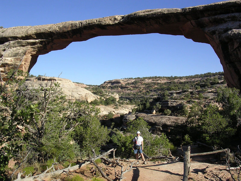 Natural Bridges