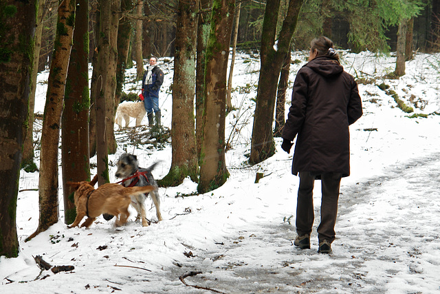 Meeting the local population