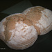 Clives zuurdesembrood 1