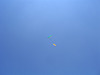 135 3516