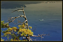Island Miyajima
