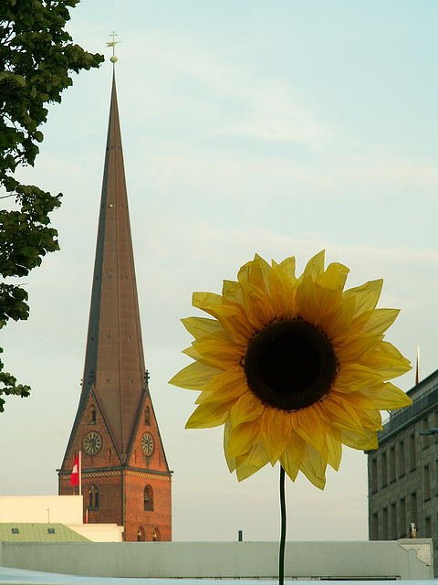 CSD-Hamburg 140