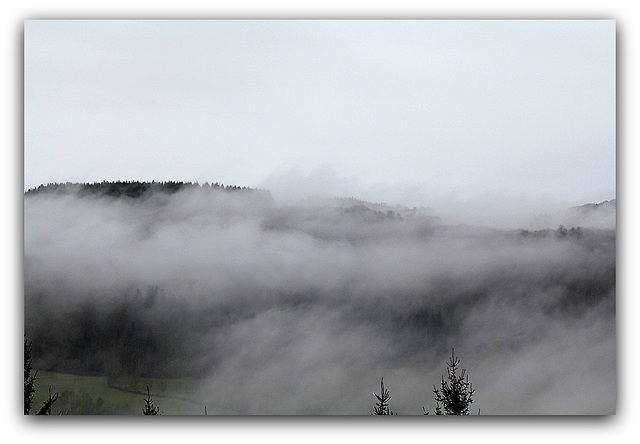 Brouillard  (4)