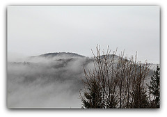 Brouillard  (5)