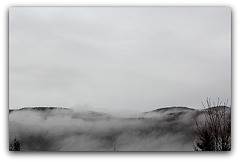 Brouillard  (6)