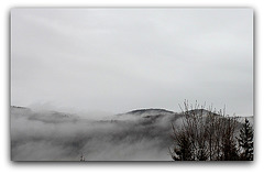 Brouillard  (3)