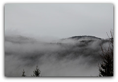 Brouillard  (7)