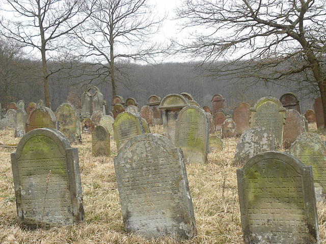 cimetière juif de rosenwiller 2