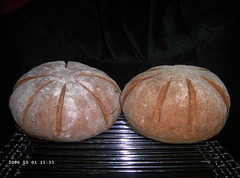 Transitional Hearth Breads 2