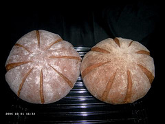 Transitional Hearth Breads 1