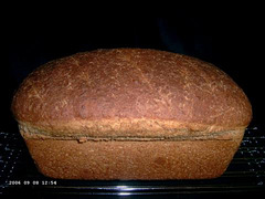 Transitional Whole Wheat Sandwich Bread 1