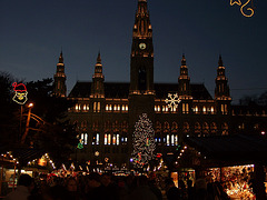 Vienna city hall