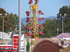 The Zipper