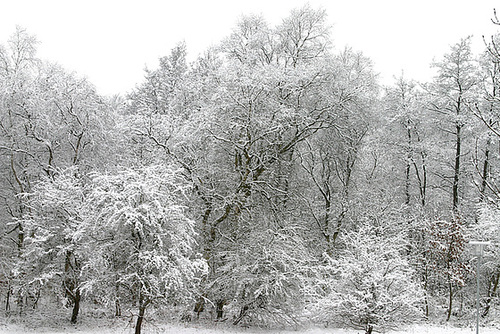 Winter in Denmark