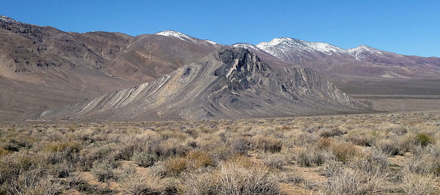 Striped Butte (3259)