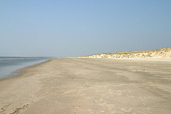 Sandy beach at Skallingen peninsula