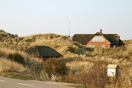 Blåvand
