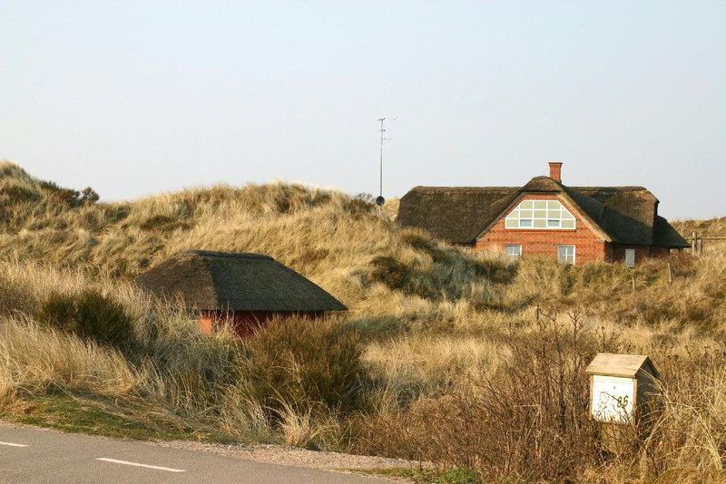 Blåvand