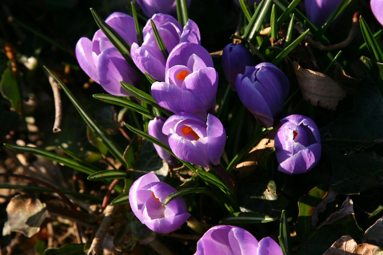 Spring in Esbjerg