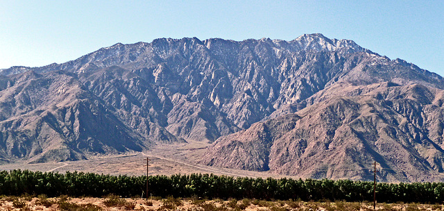 Chino Canyon (2906)