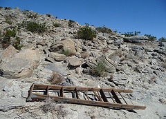 Not The Ladder Canyon (2904)