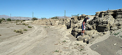 Pat In Mission Creek (2908) Pat In Mission Creek (2908)