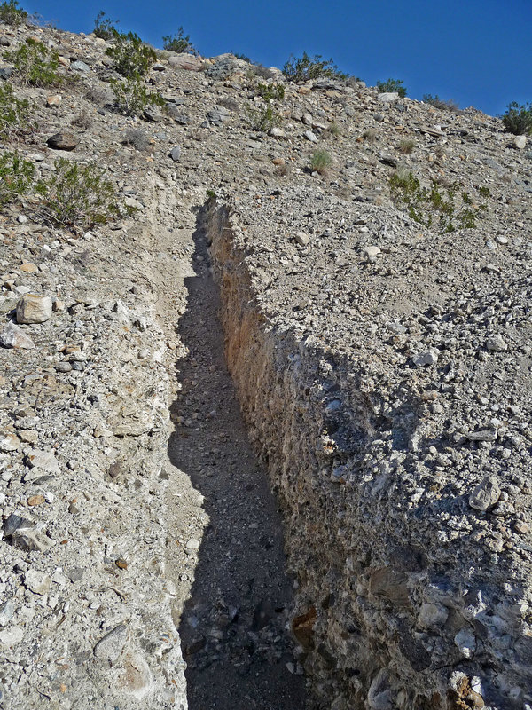 Trench (2897)