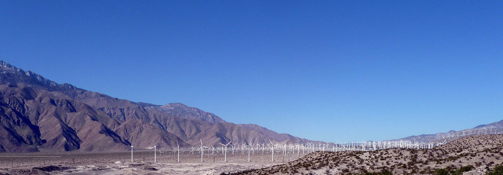 West View (2889)