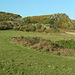 Devon
