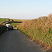 Devon