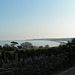 Devon