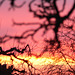 Abendrot - afterglow - couchant 2009-02-02 (14)