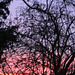 Abendrot - afterglow - couchant 2009-02-02 (16)