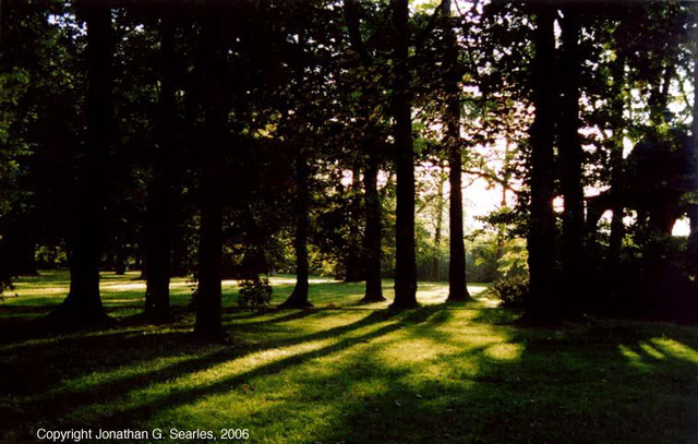 Sunset Through Trees, Cesky Krumlov, South Bohemia(CZ), 2006