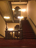 IMG 0742