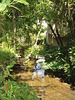 Petit ruisseau  et maison discrète / Wood stream and hidden house