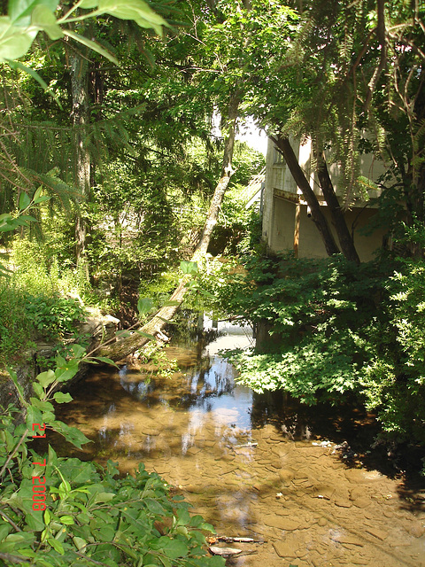 Petit ruisseau  et maison discrète /  Wood stream and hidden house  /   Woodstock, NY  USA.